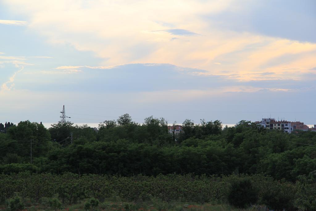 Jasna Umag