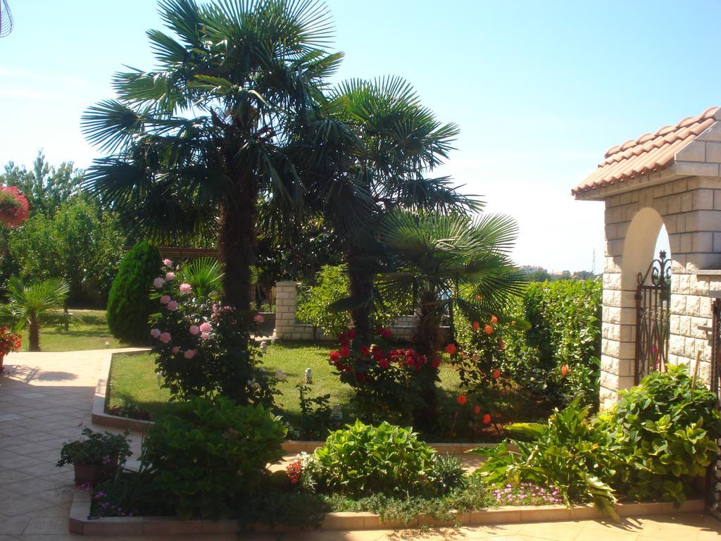 Jasna Umag